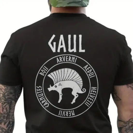 Image de Tshirt-homme Gaul