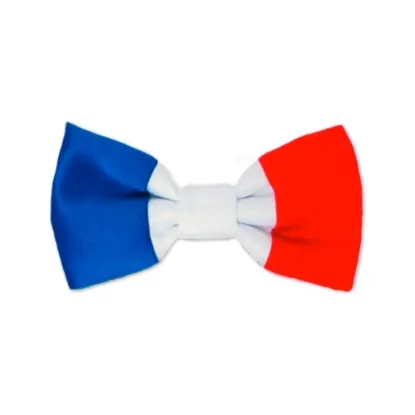 Image de Noeud papillon tricolore